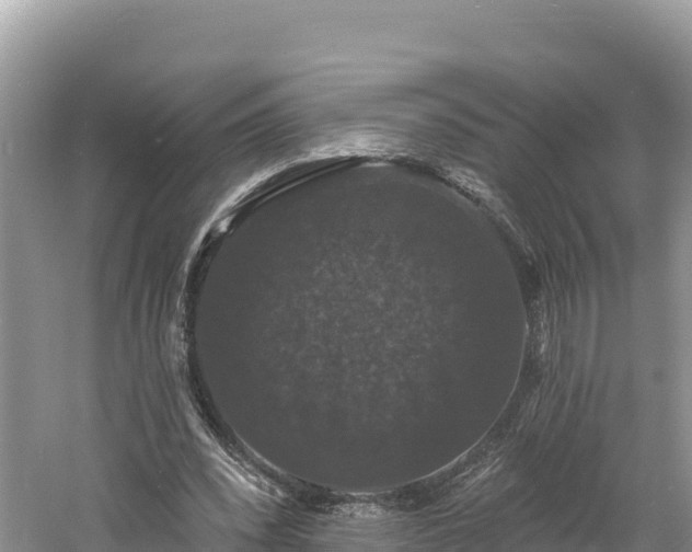 X0000060790392200511141449