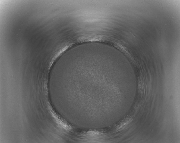 X0000060790394200511141449