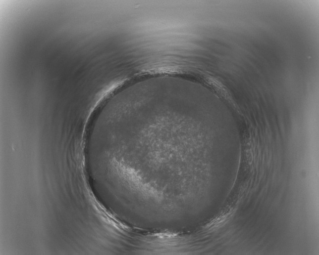 X0000060790395200511141449