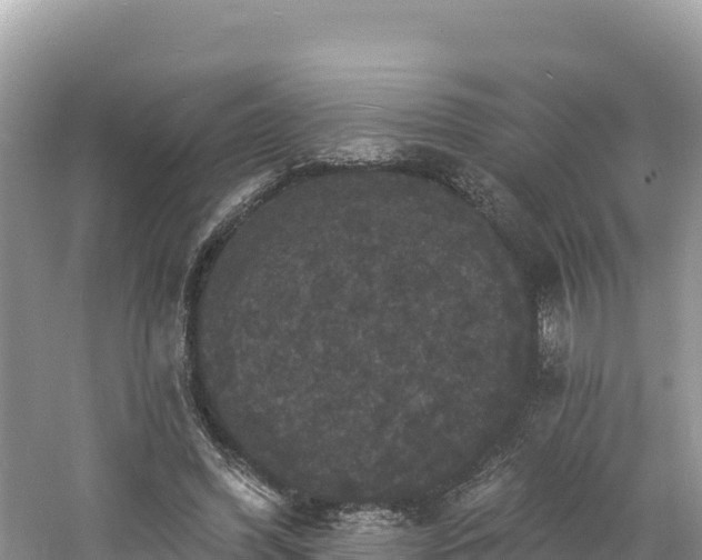 X0000060790396200511141449