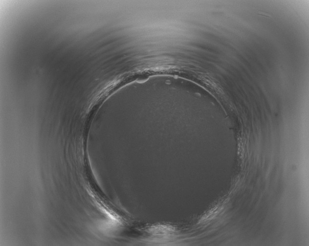 X0000060790397200511141449