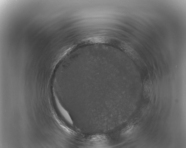 X0000060790398200511141449