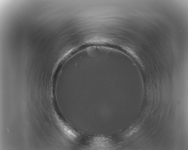 X0000060790399200511141449