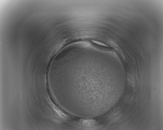 X0000060790401200511141449