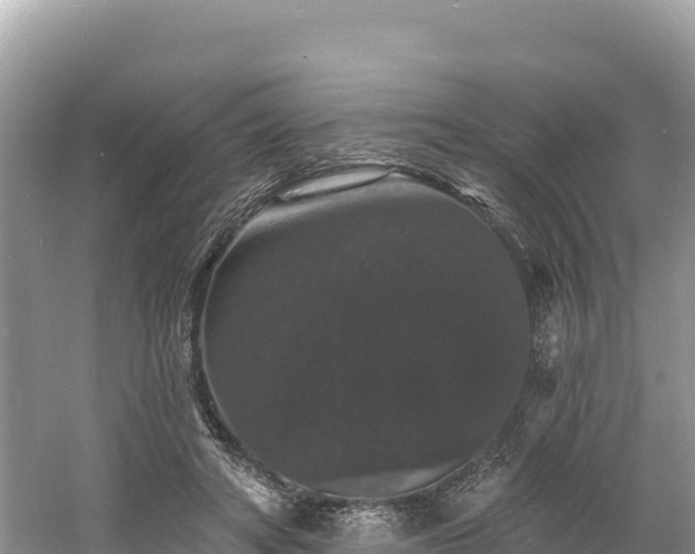 X0000060790402200511141449