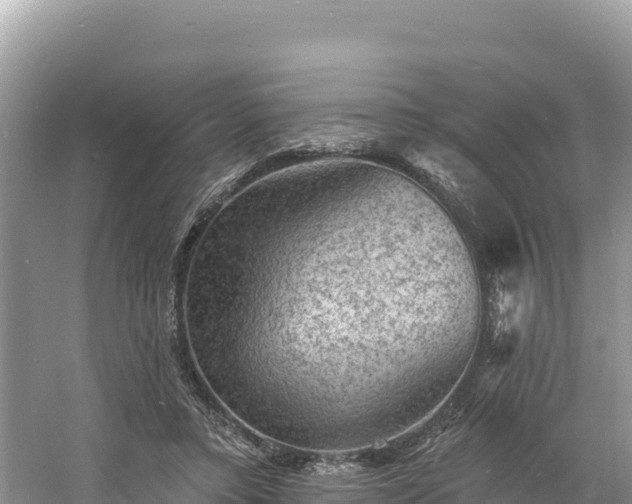 X0000060790403200511141449