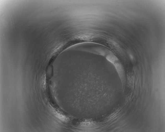 X0000060790404200511141449