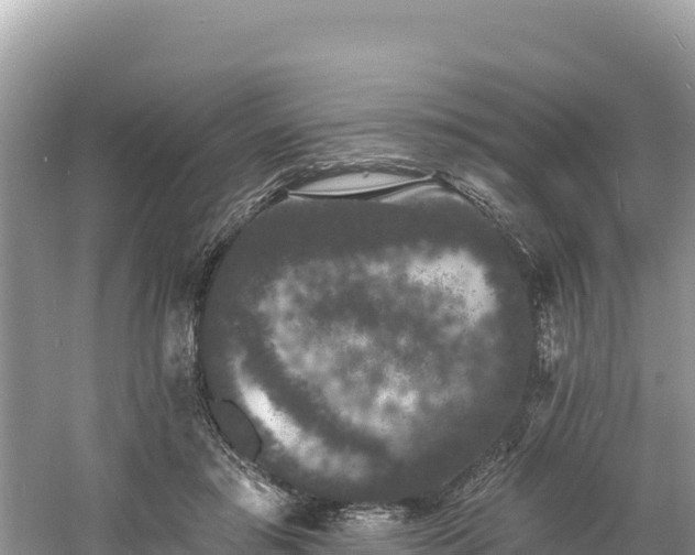 X0000060790405200511141449