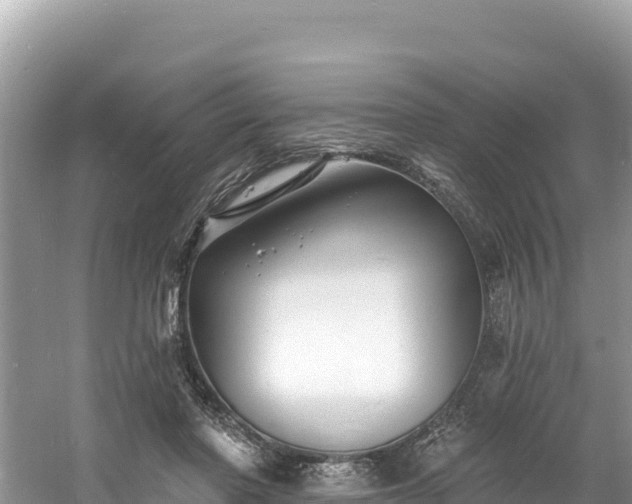 X0000060790406200511141449