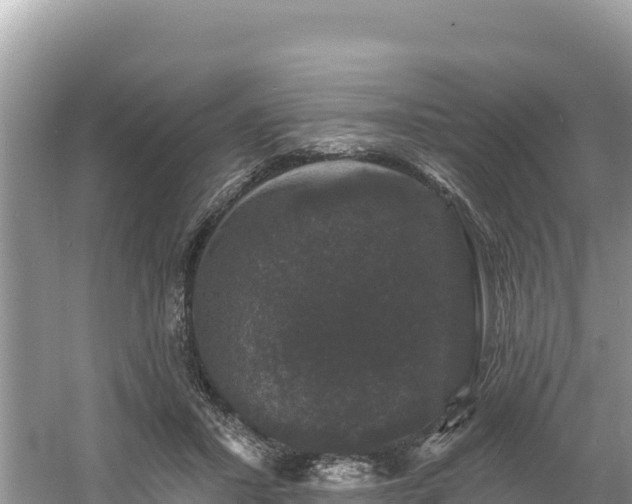 X0000060790407200511141449