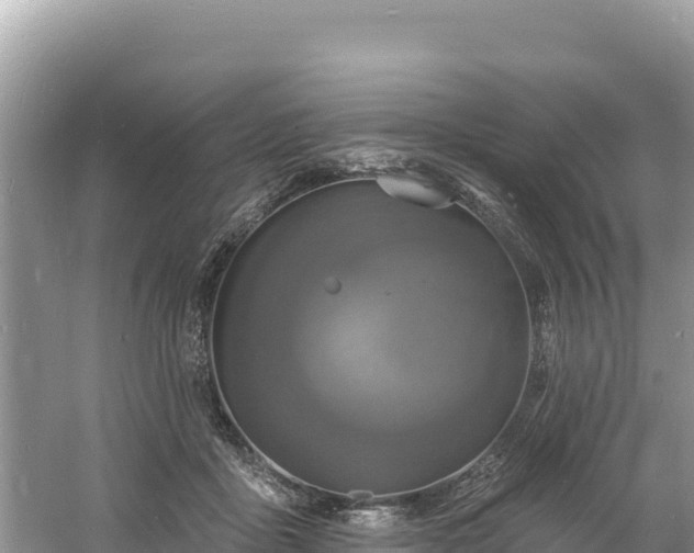 X0000060790411200511141449