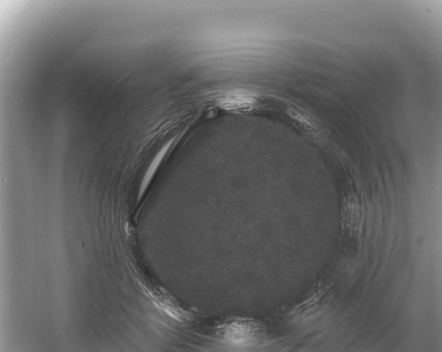 X0000060790412200511141449