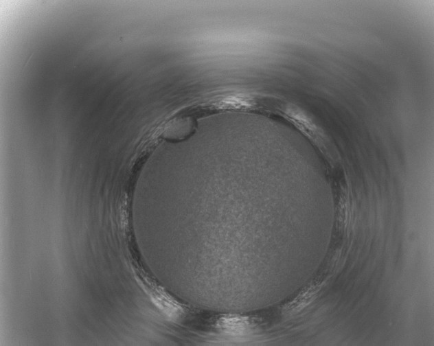 X0000060790413200511141449