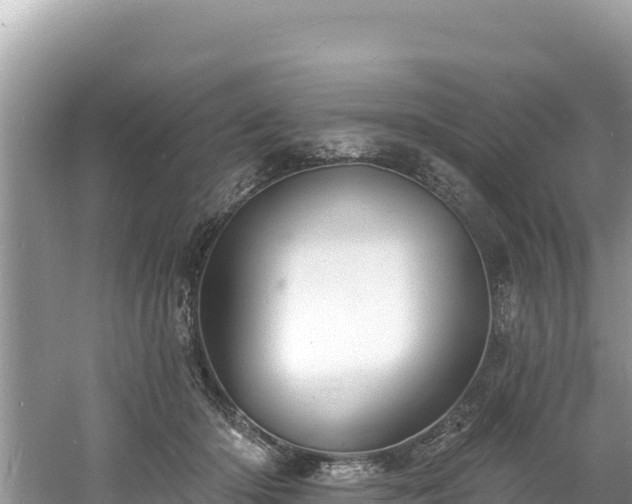 X0000060790414200511141449