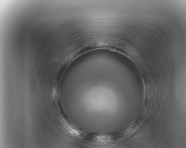 X0000060790415200511141449