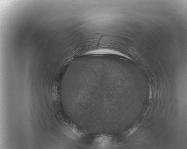 X0000060790416200511141449