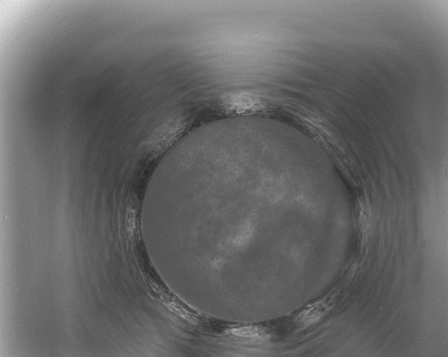 X0000060790417200511141449