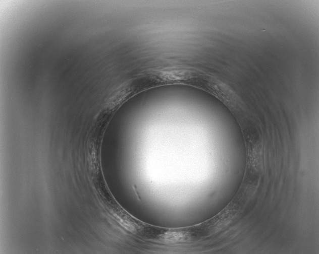 X0000060790418200511141449