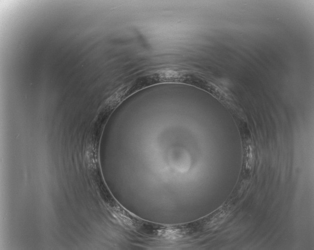 X0000060790419200511141449