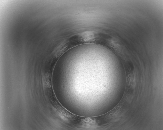 X0000060790421200511141449