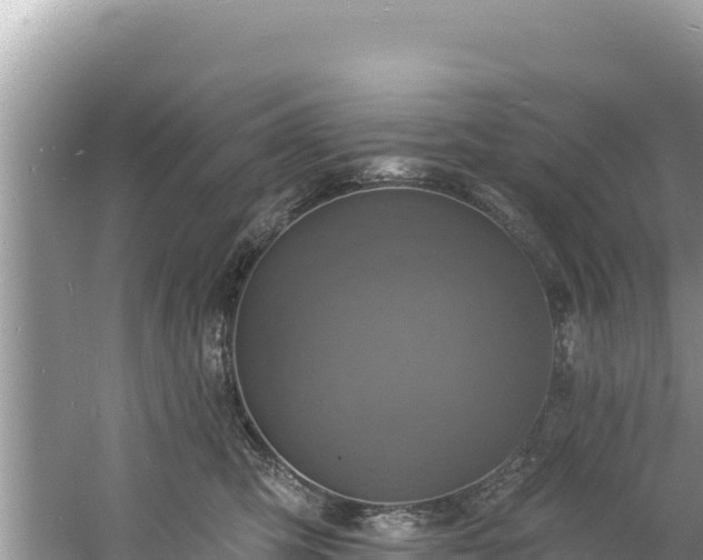 X0000060790423200511141449