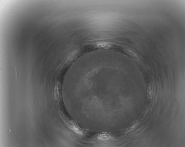 X0000060790424200511141449