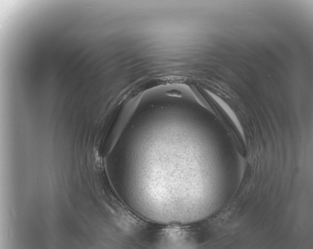 X0000060790425200511141449