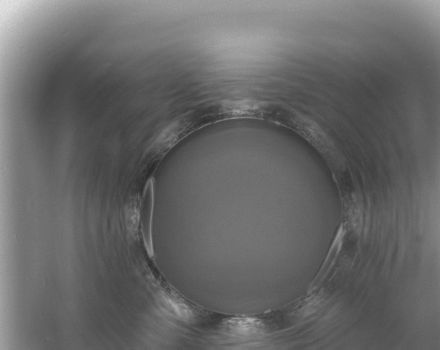 X0000060790427200511141449