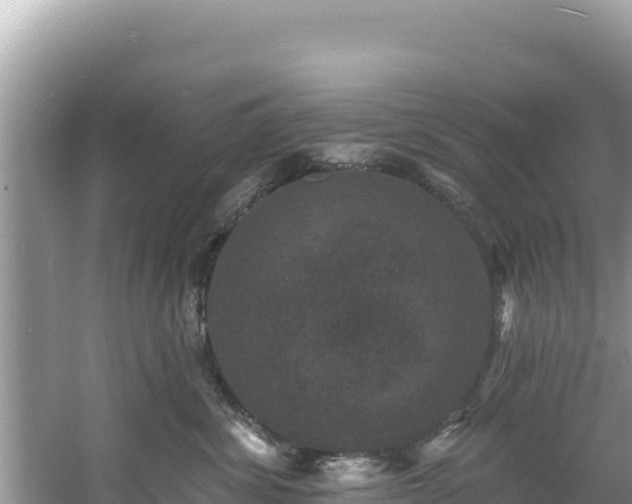 X0000060790428200511141448