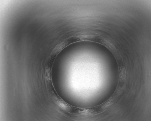 X0000060790430200511141448