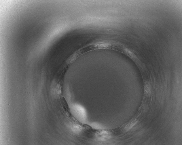 X0000060790431200511141448