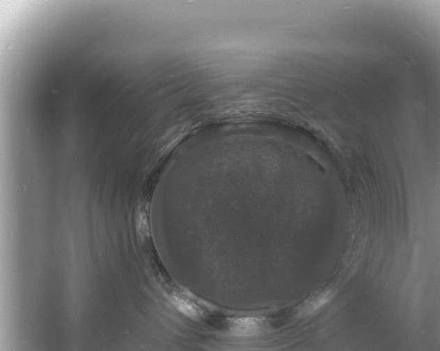 X0000060790432200511141448