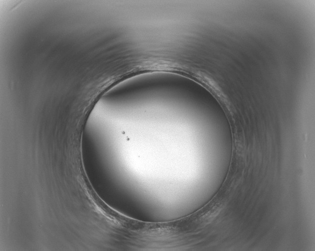 X0000060790433200511141448