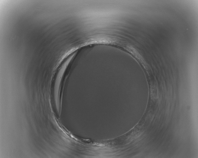 X0000060790434200511141448