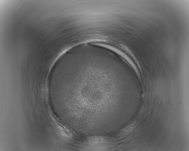 X0000060790435200511141448