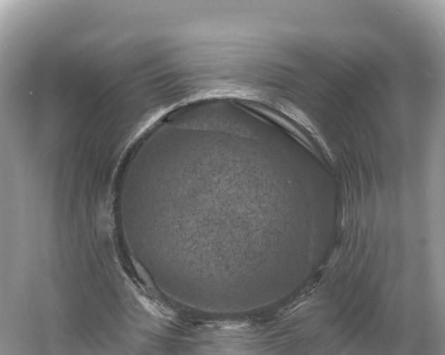 X0000060790436200511141448