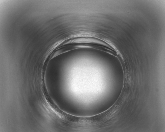 X0000060790437200511141448