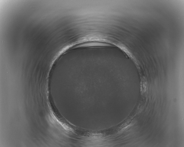 X0000060790438200511141448