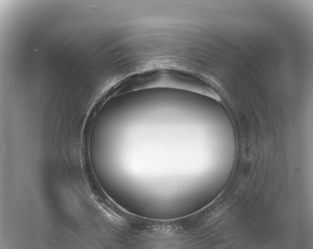 X0000060790439200511141448