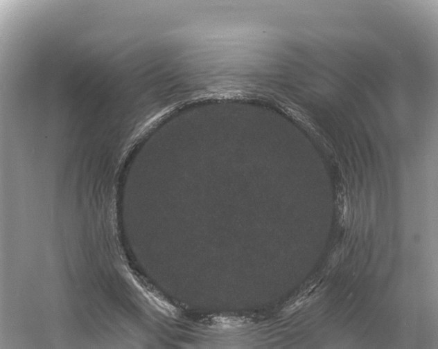 X0000060790442200511141448