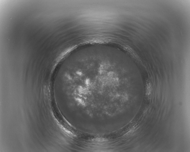 X0000060790444200511141448