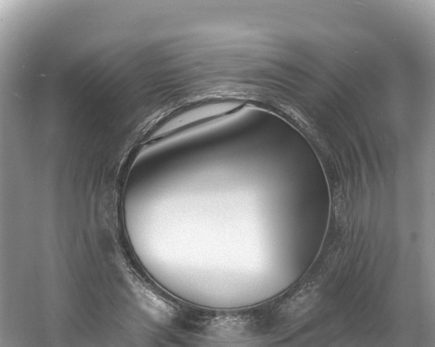 X0000060790445200511141448