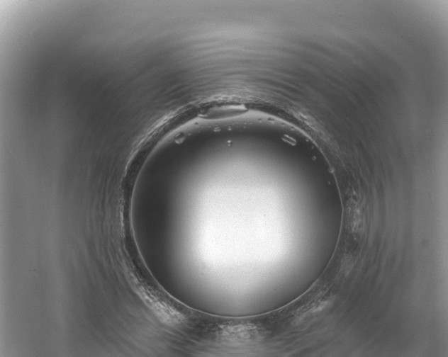 X0000060790446200511141448