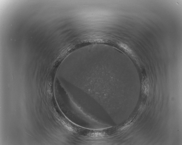 X0000060790449200511141448