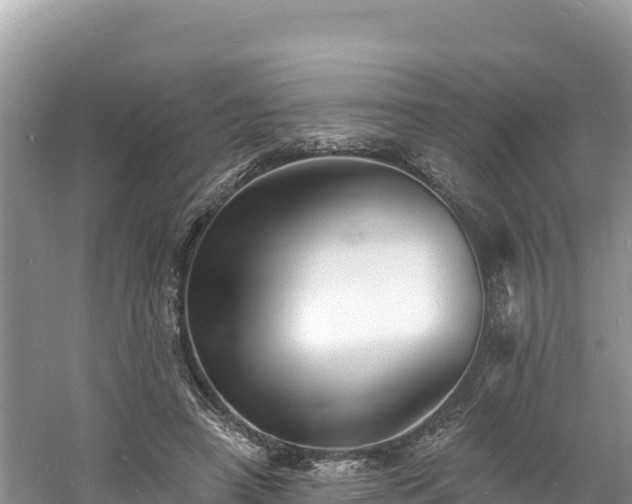 X0000060790450200511141448