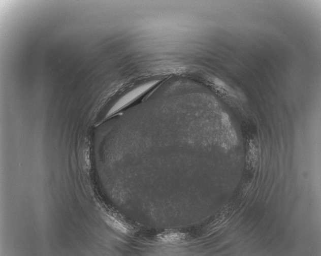 X0000060790452200511141448