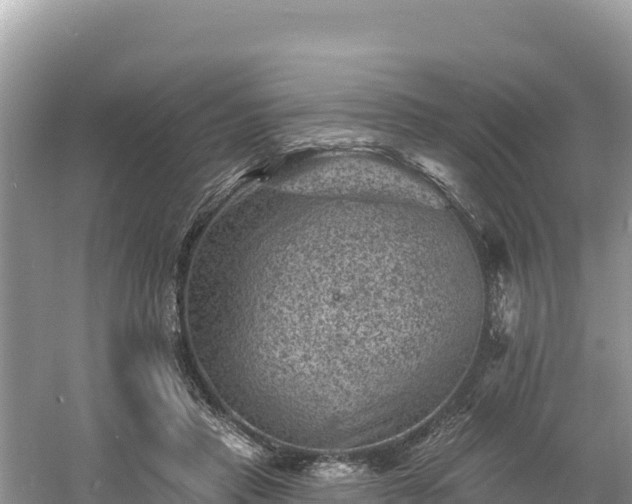 X0000060790453200511141448