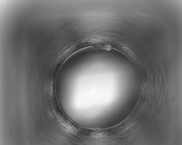 X0000060790454200511141448