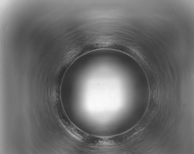 X0000060790455200511141448