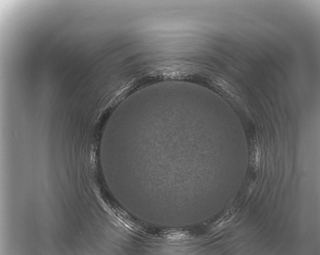 X0000060790456200511141448